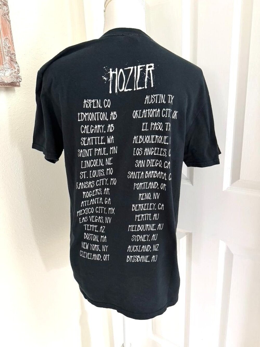 Hozier Gildan Soft Spun Black Concert T-Shirt Size Medium Cotton Pre-Shrunk B41 - Picture 8 of 8